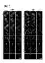Fig. 09 - Chemically-defined arrays for screening cell-substrate interactions