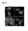 Fig. 10 - Chemically-defined arrays for screening cell-substrate interactions