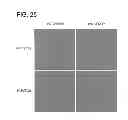 Fig. 29 - Chemically-defined arrays for screening cell-substrate interactions