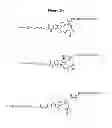 Fig. 35 - MODIFIED RECOMBINANT FACTOR VIII AND VON WILLEBRAND FACTOR AND METHODS OF USE