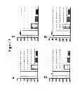 Fig. 02 - Methods of use for 2,5-dihydroxybenzene sulfonic acid compounds for the treatment of cancer, rosacea and psoriasis