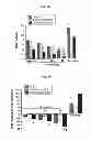 Fig. 03 - COMPOSITIONS AND METHODS FOR AMELIORATING RENAL DYSFUNCTION INDUCED BY RENAL HYPOPERFUSION OR ACUTE KIDNEY INJURY