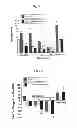 Fig. 04 - COMPOSITIONS AND METHODS FOR AMELIORATING RENAL DYSFUNCTION INDUCED BY RENAL HYPOPERFUSION OR ACUTE KIDNEY INJURY