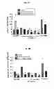 Fig. 05 - COMPOSITIONS AND METHODS FOR AMELIORATING RENAL DYSFUNCTION INDUCED BY RENAL HYPOPERFUSION OR ACUTE KIDNEY INJURY