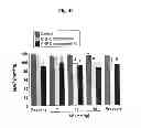 Fig. 06 - COMPOSITIONS AND METHODS FOR AMELIORATING RENAL DYSFUNCTION INDUCED BY RENAL HYPOPERFUSION OR ACUTE KIDNEY INJURY