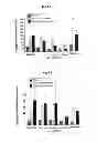 Fig. 07 - COMPOSITIONS AND METHODS FOR AMELIORATING RENAL DYSFUNCTION INDUCED BY RENAL HYPOPERFUSION OR ACUTE KIDNEY INJURY