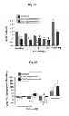 Fig. 08 - COMPOSITIONS AND METHODS FOR AMELIORATING RENAL DYSFUNCTION INDUCED BY RENAL HYPOPERFUSION OR ACUTE KIDNEY INJURY