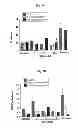 Fig. 10 - COMPOSITIONS AND METHODS FOR AMELIORATING RENAL DYSFUNCTION INDUCED BY RENAL HYPOPERFUSION OR ACUTE KIDNEY INJURY