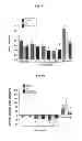 Fig. 13 - COMPOSITIONS AND METHODS FOR AMELIORATING RENAL DYSFUNCTION INDUCED BY RENAL HYPOPERFUSION OR ACUTE KIDNEY INJURY