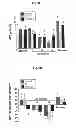 Fig. 14 - COMPOSITIONS AND METHODS FOR AMELIORATING RENAL DYSFUNCTION INDUCED BY RENAL HYPOPERFUSION OR ACUTE KIDNEY INJURY