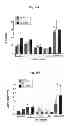 Fig. 15 - COMPOSITIONS AND METHODS FOR AMELIORATING RENAL DYSFUNCTION INDUCED BY RENAL HYPOPERFUSION OR ACUTE KIDNEY INJURY