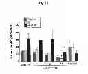 Fig. 17 - COMPOSITIONS AND METHODS FOR AMELIORATING RENAL DYSFUNCTION INDUCED BY RENAL HYPOPERFUSION OR ACUTE KIDNEY INJURY