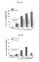 Fig. 19 - COMPOSITIONS AND METHODS FOR AMELIORATING RENAL DYSFUNCTION INDUCED BY RENAL HYPOPERFUSION OR ACUTE KIDNEY INJURY