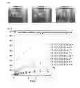 Fig. 02 - MEDICAL ADHESIVE COMPOSITION