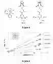 Fig. 02 - Periodic nanostructures from self assembled wedge-type block-copolymers