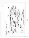 Fig. 02 - Synthesis of long-chain polyunsaturated fatty acids by recombinant cell