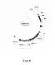 Fig. 09 - Synthesis of long-chain polyunsaturated fatty acids by recombinant cell