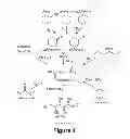 Fig. 02 - METHOD OF MAKING AND USING NANO-BIMETALLIC CATALYST TO PRODUCE ADIPIC ACID