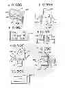 Fig. 31 - Oral device and method for the use thereof