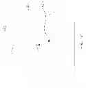 Fig. 23 - Fenestrated implant
