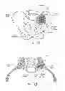 Fig. 29 - Fenestrated implant