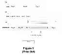 Fig. 02 - Method and apparatus for batching memory requests