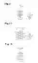 Fig. 06 - INSECT PEST DISINFESTATION LIGHTING SYSTEM