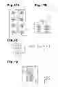 Fig. 08 - INSECT PEST DISINFESTATION LIGHTING SYSTEM