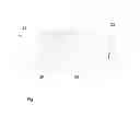 Fig. 07 - Loudspeaker array element