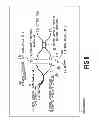 Fig. 09 - Waveguide-type polarization beam splitter