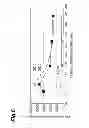 Fig. 07 - Multi-mode optical fiber