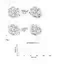 Fig. 02 - RADIOLABELED NANOSYSTEM, PROCESS FOR THE PREPARATION THEREOF AND ITS USE