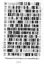 Fig. 02 - COMPOSITIONS FOR DIAGNOSIS AND THERAPY OF DISEASES ASSOCIATED WITH ABERRANT EXPRESSION OF KREMEN AND OR WNT