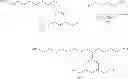 Fig. 197 - Benzodiazepine derivatives