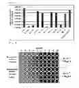 Fig. 04 - Method for disinfection or infection control against a non-enveloped virus