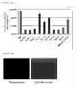 Fig. 05 - Method for disinfection or infection control against a non-enveloped virus