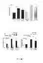 Fig. 06 - Cell-protective peptides and uses thereof