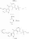 Fig. 167 - COMPOUNDS AND METHODS FOR KINASE MODULATION, AND INDICATIONS THEREFOR