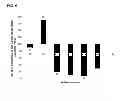 Fig. 07 - RNAI molecules with non-watson crick pairing based on artificial mutation consensus sequences to counter escape mutations