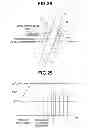 Fig. 17 - Electronic endoscope in which static-protective member is provided in distal end portion of insertion portion