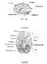 Fig. 02 - Method and apparatus for treating various neurological conditions