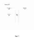 Fig. 08 - ANALYSIS OF MARKETING AND ENTERTAINMENT EFFECTIVENESS USING MAGNETOENCEPHALOGRAPHY