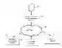 Fig. 01 - METHODS AND SYSTEMS FOR ONLINE PROMOTION ENGAGEMENT NETWORK
