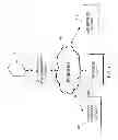 Fig. 02 - METHODS AND SYSTEMS FOR ONLINE PROMOTION ENGAGEMENT NETWORK