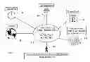 Fig. 01 - INTELLIGENT ELECTRONIC INFORMATION DEPLOYMENT