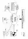 Fig. 02 - INTELLIGENT ELECTRONIC INFORMATION DEPLOYMENT