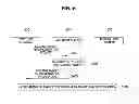 Fig. 06 - METHOD OF PROVIDING APPLICATION AND APPARATUS FOR PERFORMING THE SAME