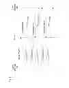 Fig. 13 - DATA SEGMENTATION, REQUEST AND TRANSFER METHOD