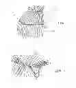Fig. 04 - HAIR EXTENSION ASSEMBLY AND METHOD OF APPLICATION