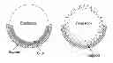 Fig. 01 - Manipulating surface topology of BMG feedstock